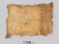 藏品(獸皮)的圖片